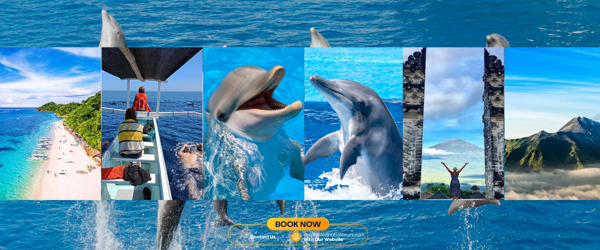 Book Dolphin Tour Lovina Bali today and enjoy the Lovina Dolphin Sunrise Tour. Get a cheap dolphin tour Lovina with safe boats and local experts.