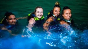 Book Dolphin Tour Lovina Bali today and enjoy the Lovina Dolphin Sunrise Tour. Get a cheap dolphin tour Lovina with safe boats and local experts.