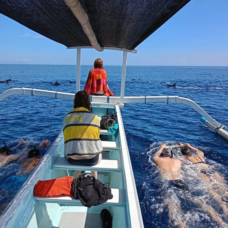 Book Dolphin Tour Lovina Bali today and enjoy the Lovina Dolphin Sunrise Tour. Get a cheap dolphin tour Lovina with safe boats and local experts.