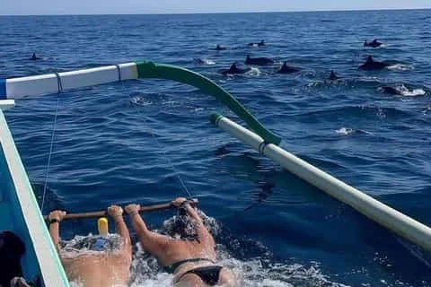 Book Dolphin Tour Lovina Bali today and enjoy the Lovina Dolphin Sunrise Tour. Get a cheap dolphin tour Lovina with safe boats and local experts.