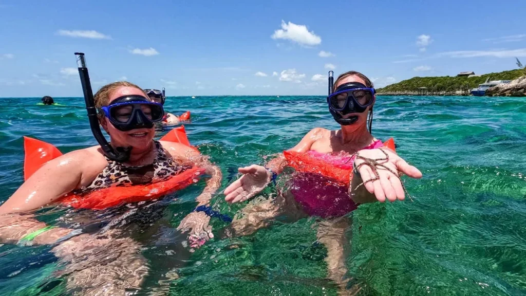 Best Lovina Dolphin Swim