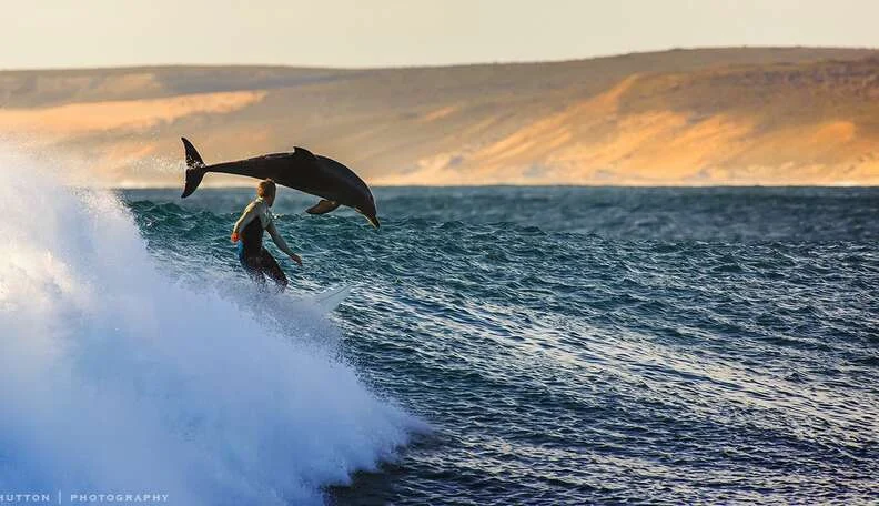 Best Dolphin Lovina Tour