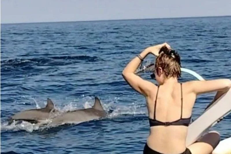 Dolphin Lovina Tour Bali