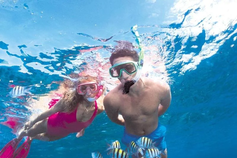 Dolphin Lovina Tour Itinerary